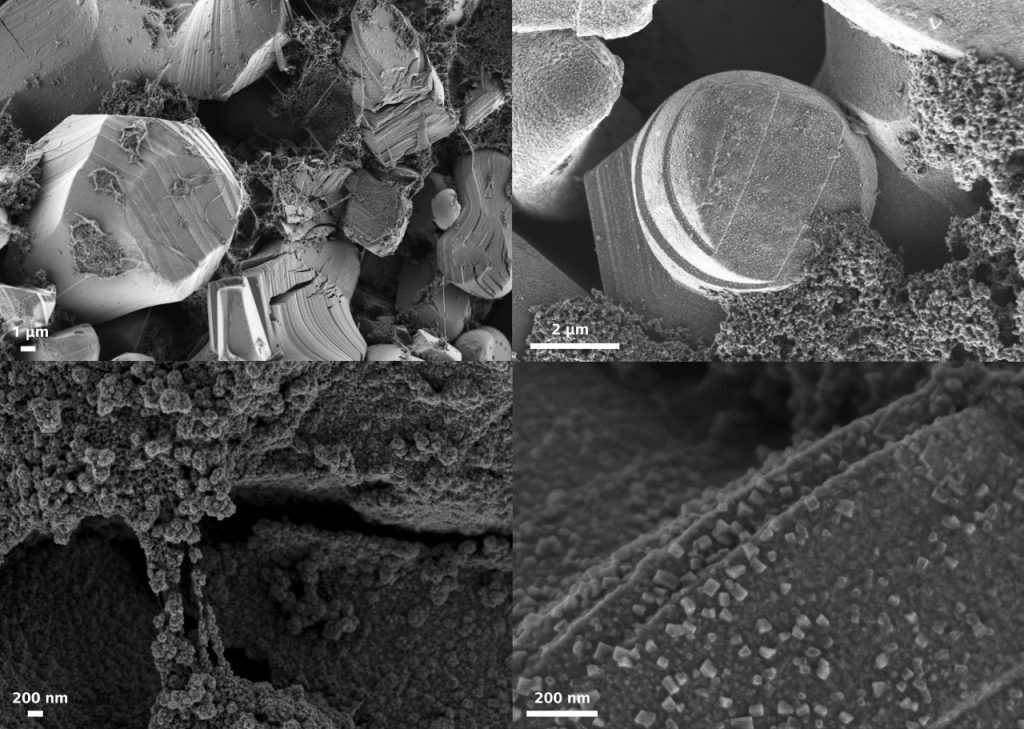 Materiály Li-ion batérie v podobe katódy, anódy, viazača a separátora pod mikroskopom